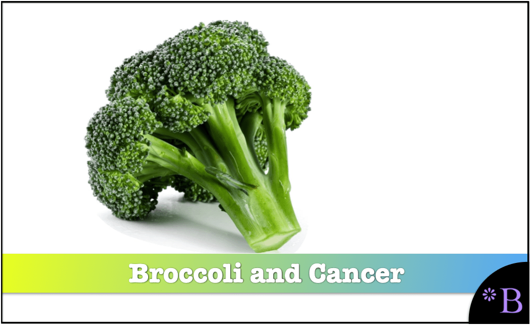 The Testing Evidence for Broccoli Against Cancer Brightwork Research